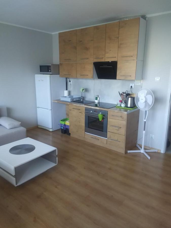 Appartamento Poziom 7 Elblag Esterno foto